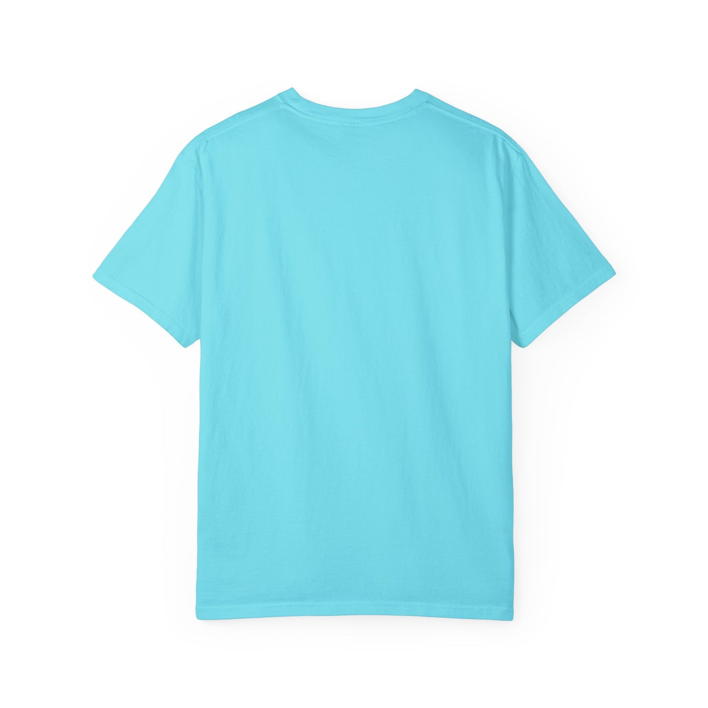 Copy of Unisex Garment-Dyed T-shirt - Air Girl