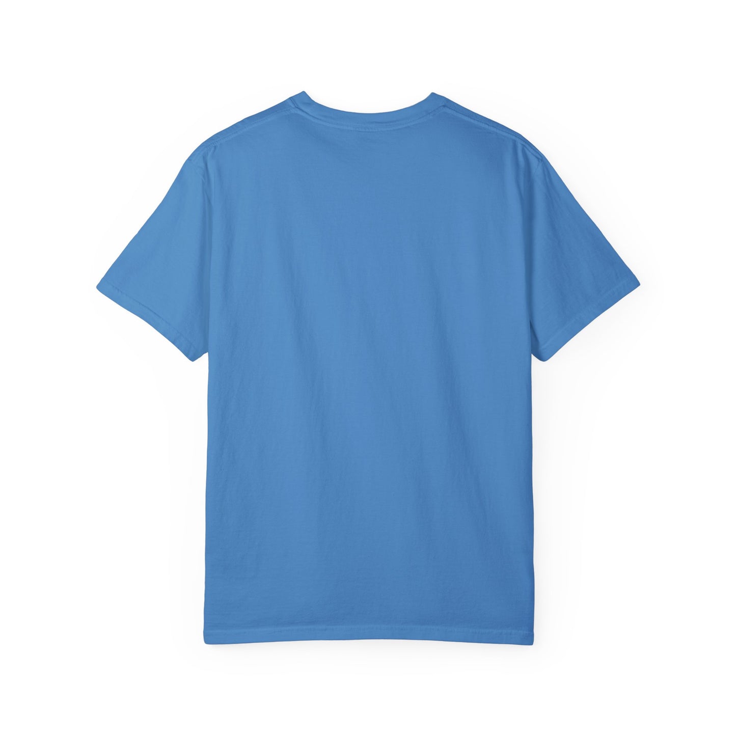 Copy of Copy of Unisex Garment-Dyed T-shirt - Air Girl