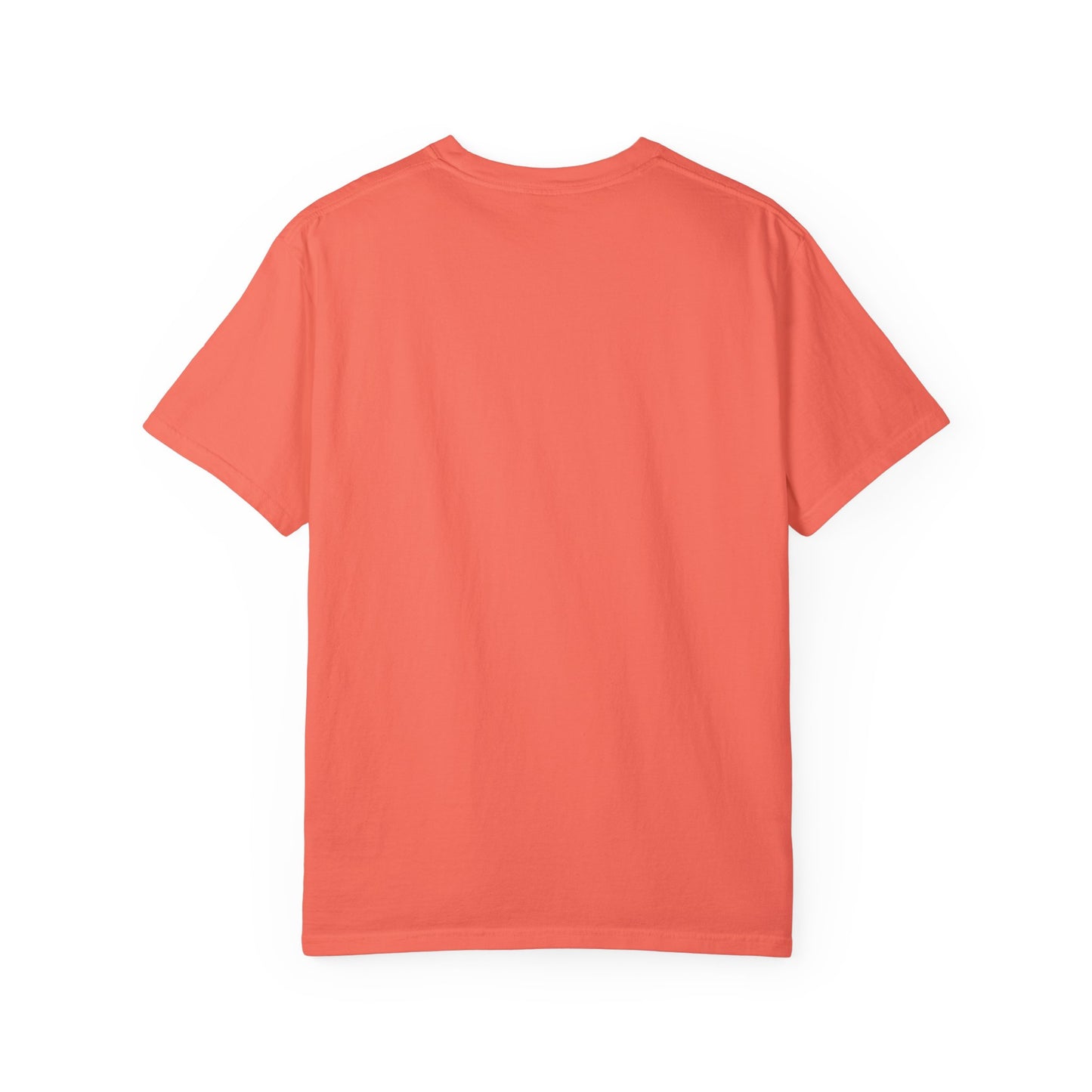 Copy of Copy of Unisex Garment-Dyed T-shirt - Air Girl